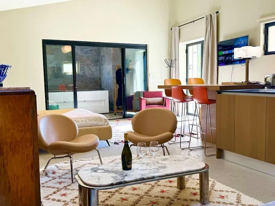 Proche L'Isle/Sorgue, Loft Avec Spa Et Piscine Le Thor Apartment
